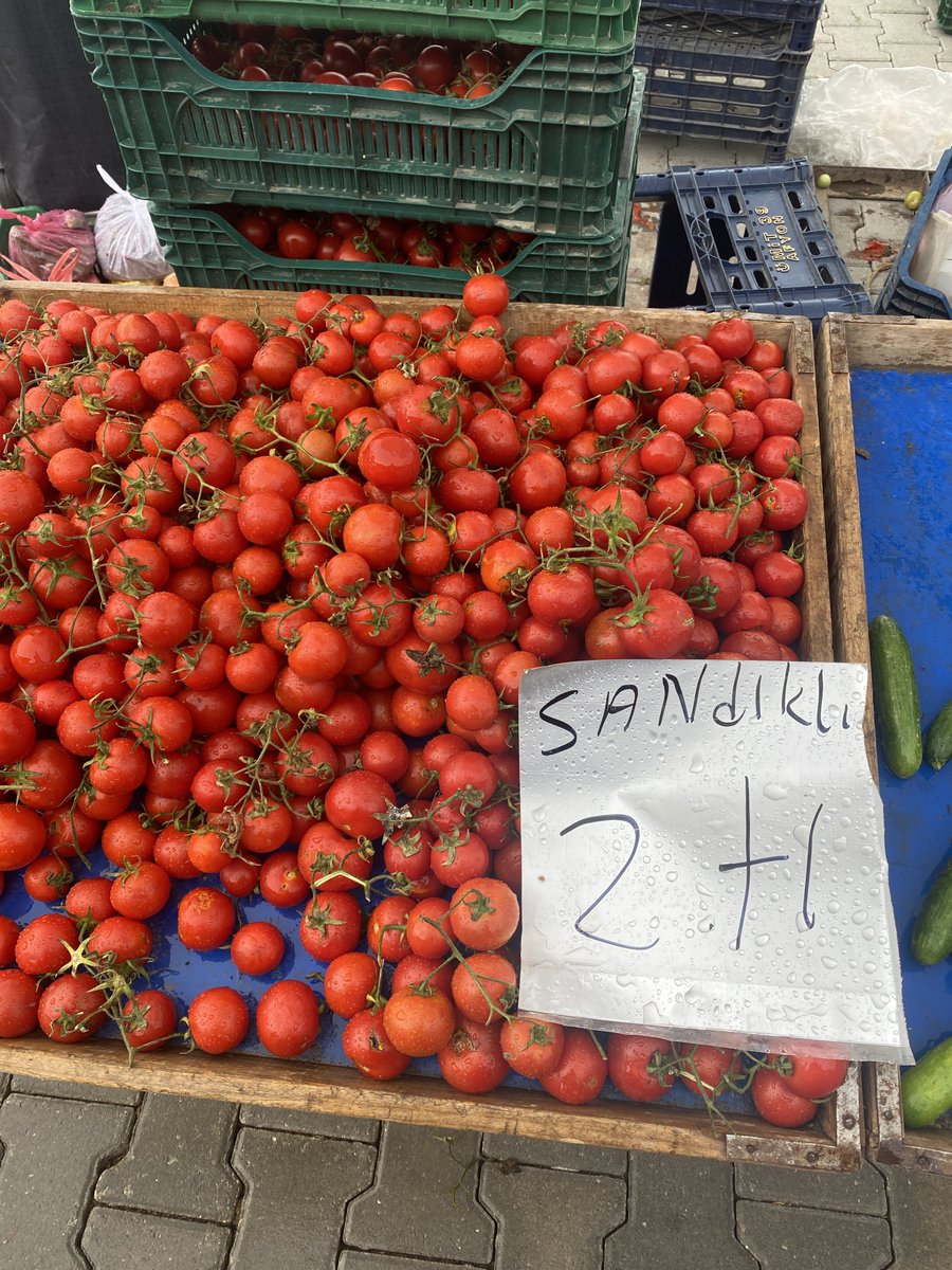 Yuşa Övenç tweet media