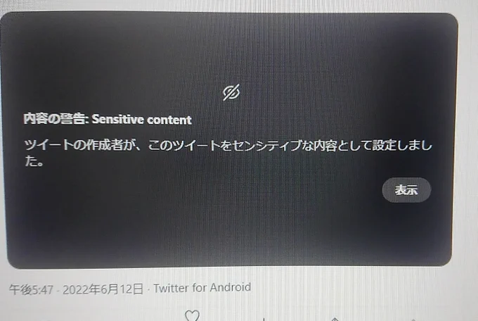 試しに鍵アカ作って
1ヌード画像センシティブ設定あり
2ヌード画像センシティブ設定なし
3こちらの画像で上げたら即センシティブがついた絵
4普通の画像にセンシティブ付けたもの

2以外警告来ないのでアカウント見て基準決めてるっぽい 