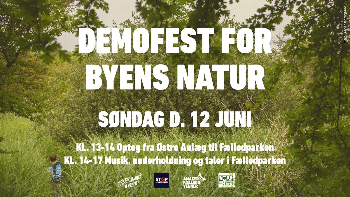 Jeg spiller live for første gang i to år til det fine arrangement kl 16 i Fælledparken