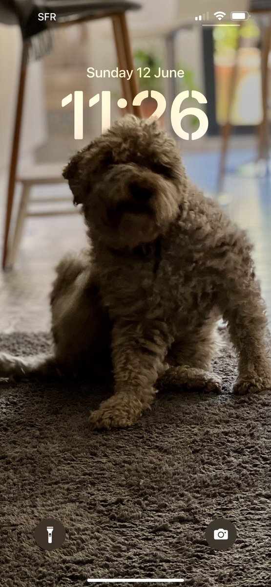 MathouLeChatOFF's tweet image. Haha lourd iOS16 🤙🏿