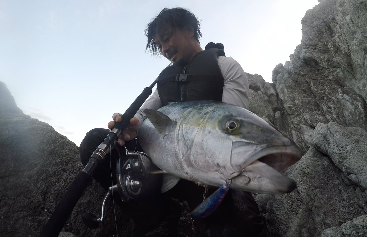 novuuuuun's tweet photo. 久しぶりの感覚
この魚に出逢わせてくれた道具達に感謝！
プロトのダイペン、平政に好まれるルアーになってきたんではないかと思わせる納得の一尾。

#blueblue #bluebluefishing #ブルーブルー #プロトルアー  #青物 #daiwa #shorespartan #breakthrough #83xxxh #certatesw #gamakatsu #treble #spxh https://t.co/he2x95P2Qp