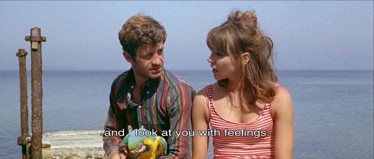 lecinema_'s tweet photo. Pierrot le Fou (Jean-Luc Godard, 1965) | The Worst Person in the World (Joachim Trier, 2021) https://t.co/1h9lAH5zfT