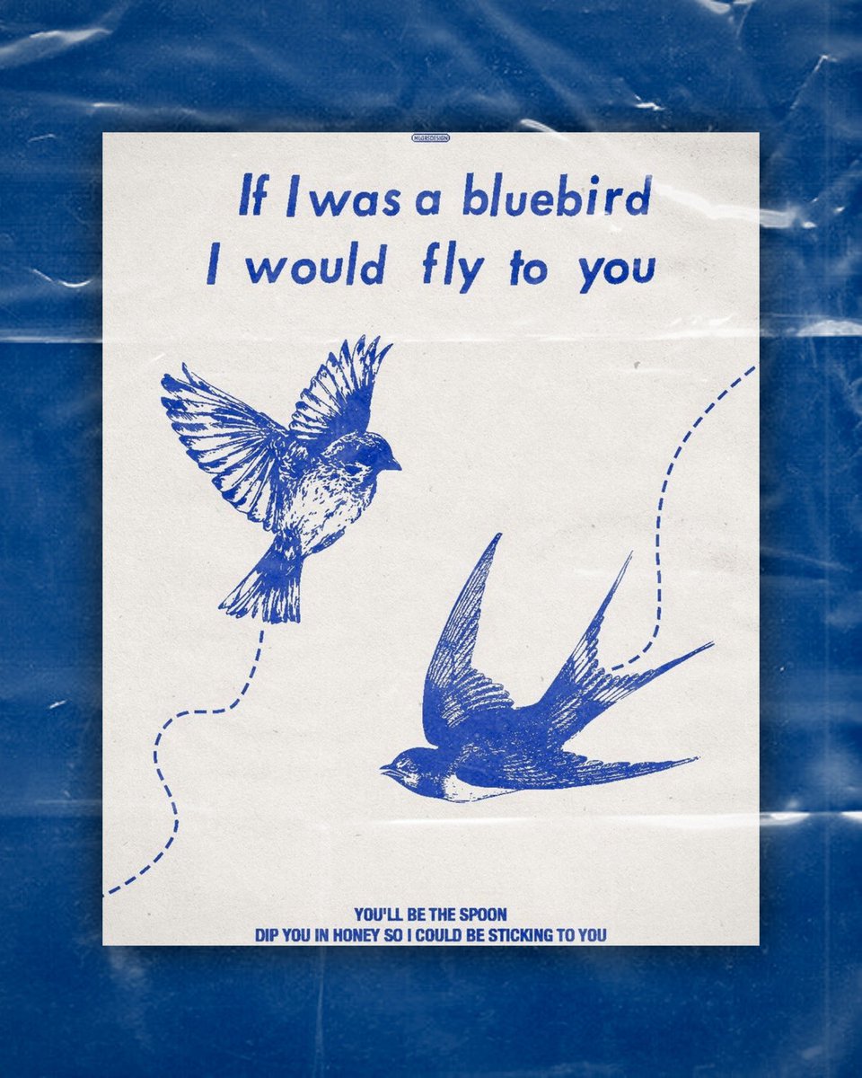 jemmasmakeup's tweet photo. if i was a bluebird, i would fly to you <3
#harrystyles #harryshouse 🪺
ig | jemmasmakeup https://t.co/jsfGVxDNUm