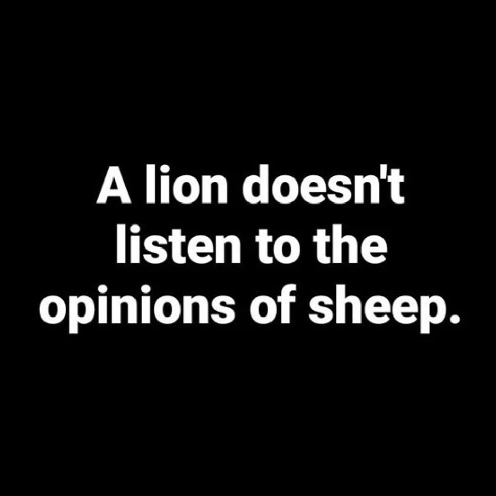 itsSaranMs's tweet photo. 🦁 :@ncbn ,don't bother abt all non sense fools words sir you know better than all of us ..
Love u 🤩 Proud of you as always 💞.
#WithCBN #WithTDP https://t.co/wVr5rnUR8E
