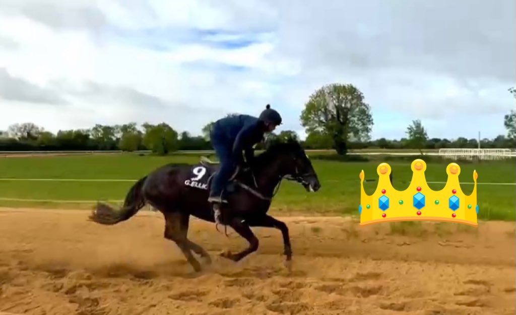 Dawnesme's tweet photo. A beautiful day to be heading to @DownpatrickRace to see our Queen run πππΌππΌ
Hereβs to a very lucky & safe run, anything else as always is a bonusπ
Keep Smiling πππ€π€
#keepsmilingsyndicate #countryqueen https://t.co/lvD6B4hQdr