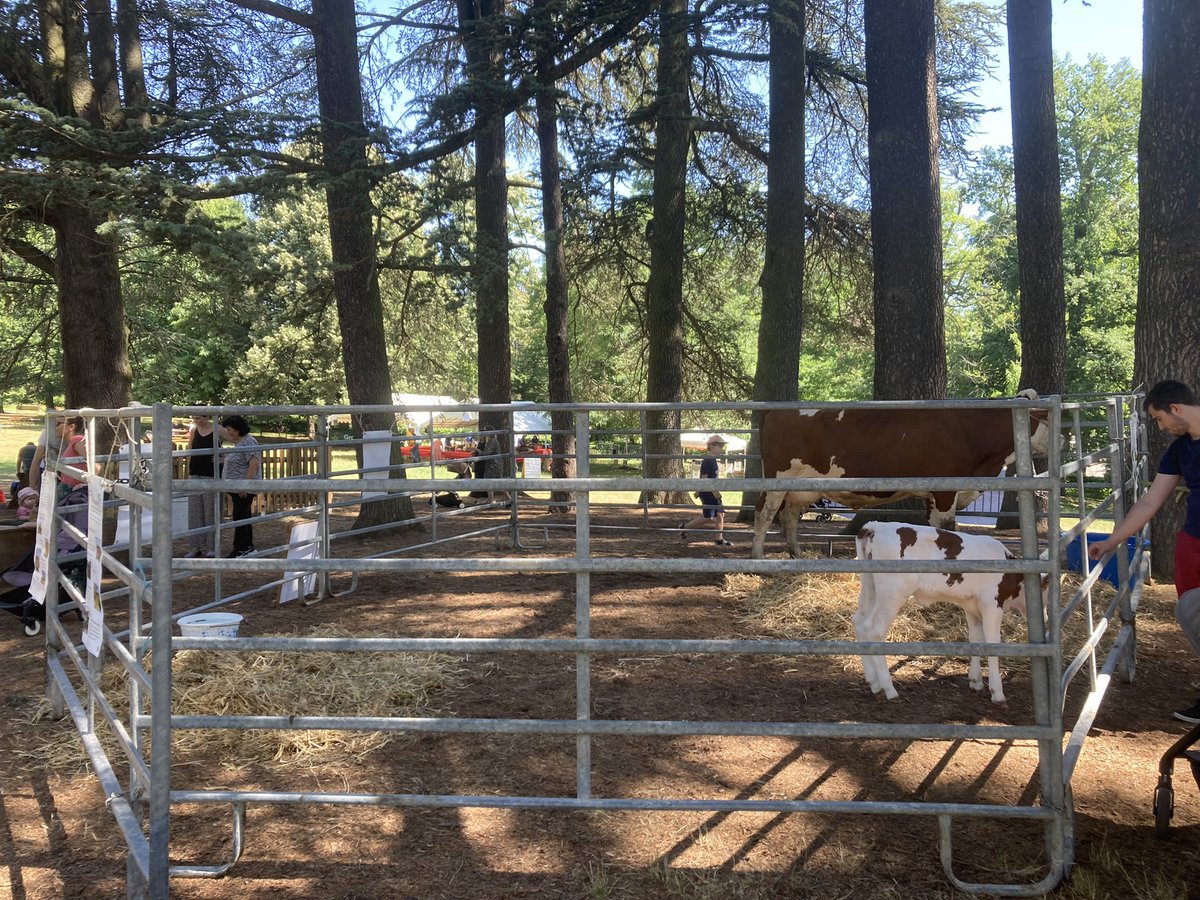 Frederic Chatagnier tweet media