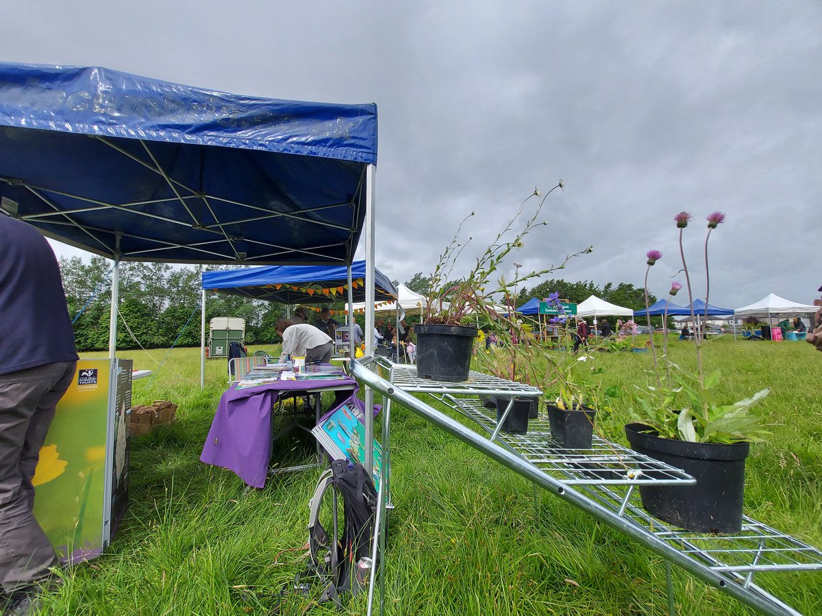 Stephen Trotter tweet media