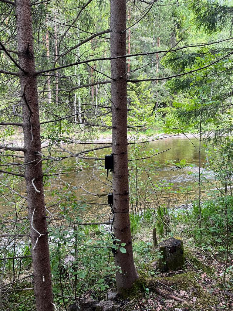 Clement Duhart tweet media