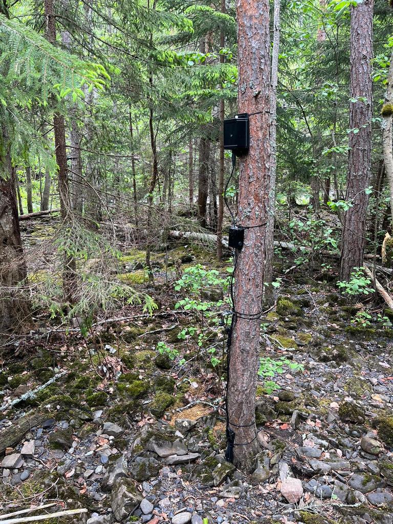 Clement Duhart tweet media