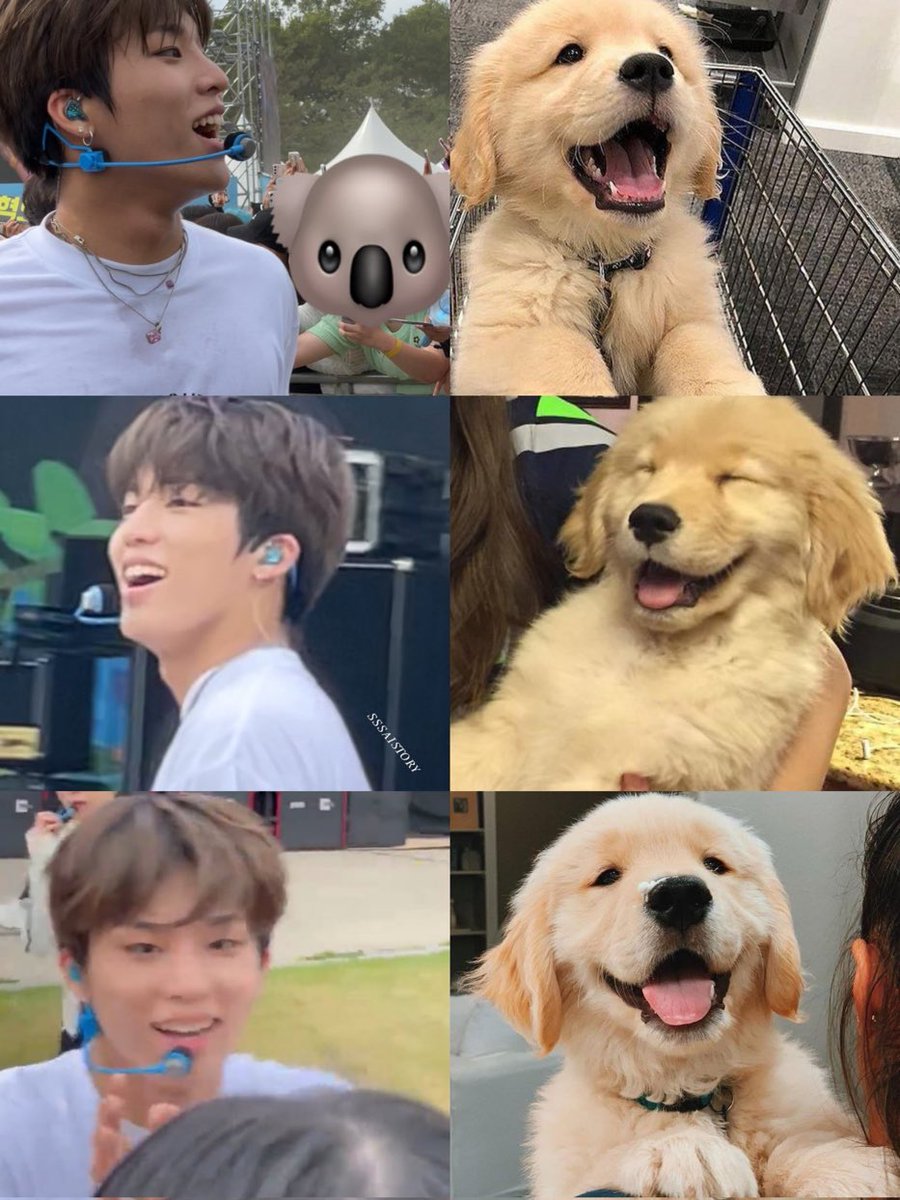 rupyromy's tweet photo. จองอูไม่เหมือนยู้กหมาตรงไหน อ้ยยยน่าย้ากกกกกกกกกก🥰 https://t.co/6XifWJPmIF