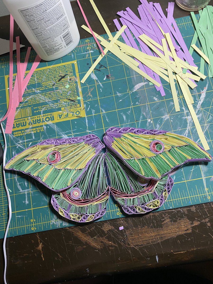 Cinn_amonxd's tweet photo. Moth [August 2021]
#art #ArtistOnTwitter #papercraft #paperart #paperquilling https://t.co/bq3skviUwp