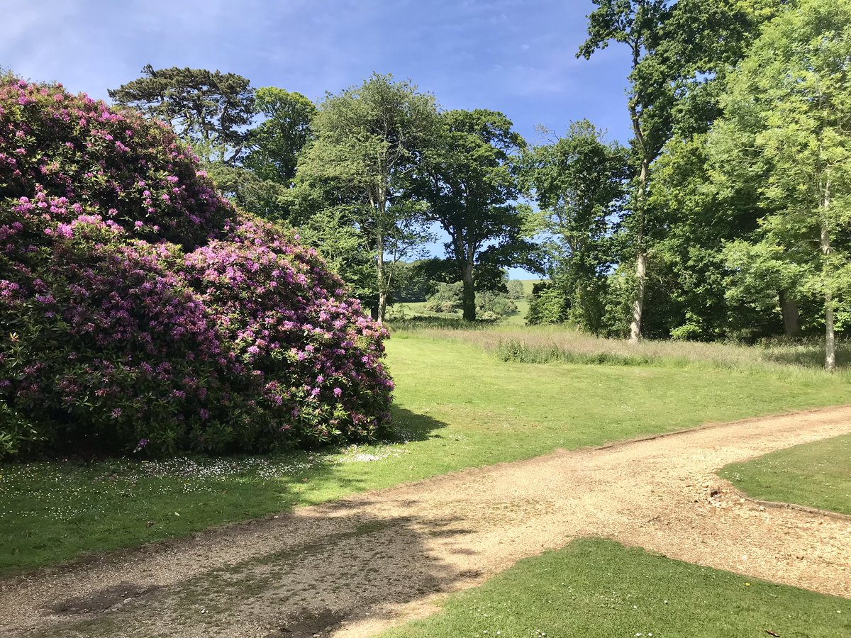 Zakitina_Lily's tweet photo. Enjoying the tranquil beauty of #Appuldurcombe house near #ventnor on the #IsleofWight great start to #SundayMorning @VisitIOW @jaymarno9 @VisitSouthEast https://t.co/tGCzEZt2MY