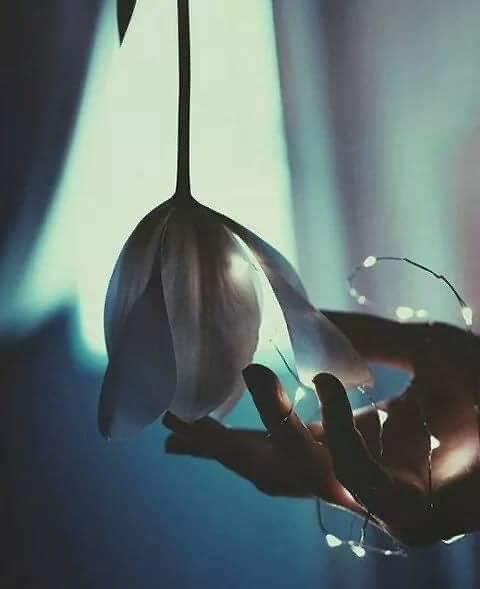 لا فائدة من العيون ، أذا كان العمى في القلوب
#لـورد