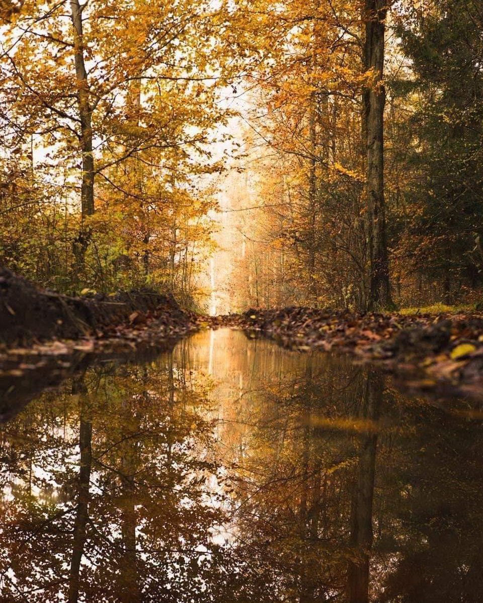 تأكد أن الصمت ليس ضعفاً، لكنه إرتقاء لم يدركه العقل بعد ..
#لـورد