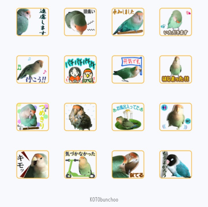 KOTObunchoo's tweet photo. コザクラインコの
蘭丸ちゃん×40
LINE スタンプ  https://t.co/meFjHuBhHU

13作品目のラインスタンプ
昨日申請して
もうリリースできた！
カラフルな小鳥たちと
色とりどりの毎日を！

https://t.co/LFj5CeIAK7

#コザクラインコ
#小桜蘭丸 https://t.co/qPNSkAkC6q