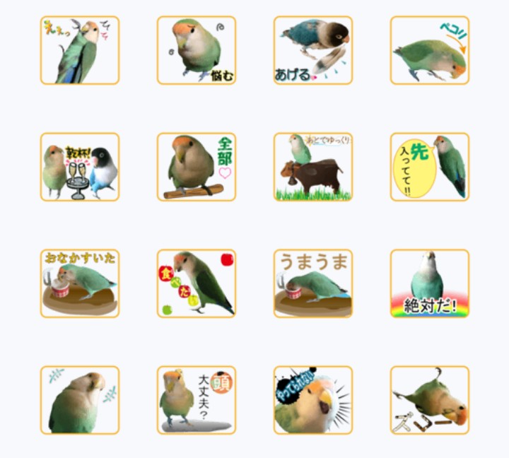 KOTObunchoo's tweet photo. コザクラインコの
蘭丸ちゃん×40
LINE スタンプ  https://t.co/meFjHuBhHU

13作品目のラインスタンプ
昨日申請して
もうリリースできた！
カラフルな小鳥たちと
色とりどりの毎日を！

https://t.co/LFj5CeIAK7

#コザクラインコ
#小桜蘭丸 https://t.co/qPNSkAkC6q