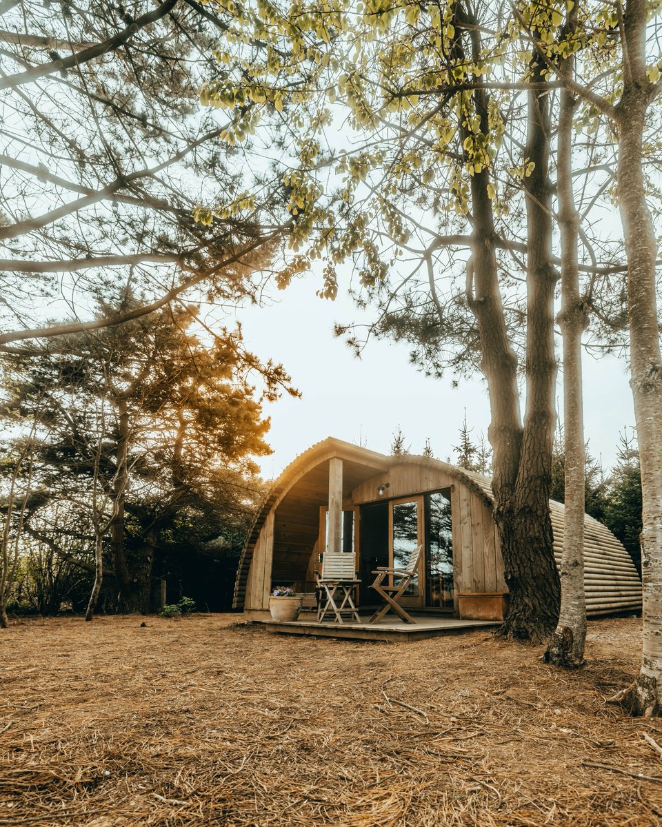 bymattandabbie tweet media