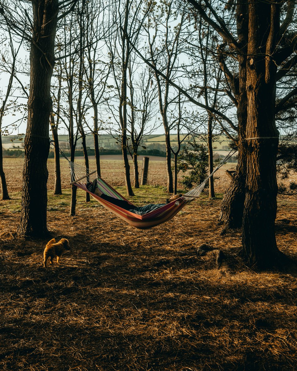 bymattandabbie tweet media