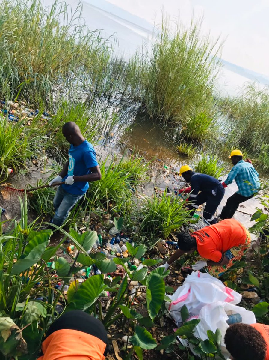 blaisefanubarum's tweet photo. Travaux communautaires organisés par #YALIRDC- S/K #PLASYCOR, #COSOPAX pour la célébration de la journée mondiale de l'environnement ce samedi 11 juin à Labotte
@KerryByamungu @karel_muhongya @NicMenemene @PatKongolo26 @chrisczadi @JeffMwenyemali @YaliRDC https://t.co/vQSE914SZn