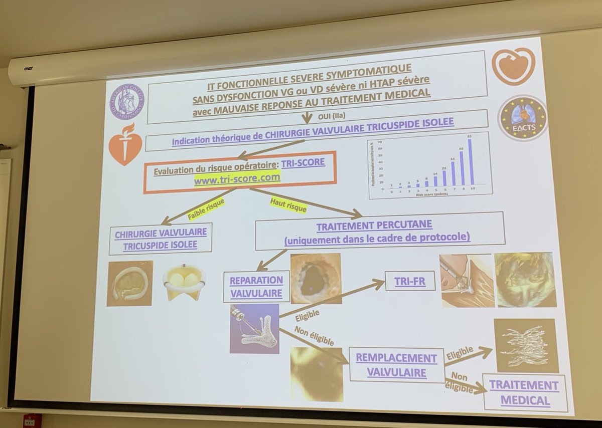 SABOURETCardio's tweet photo. Great presentation by @juliendreyfus1 another expert in #SSP with #TRIScore https://t.co/8l9aFAZbXv