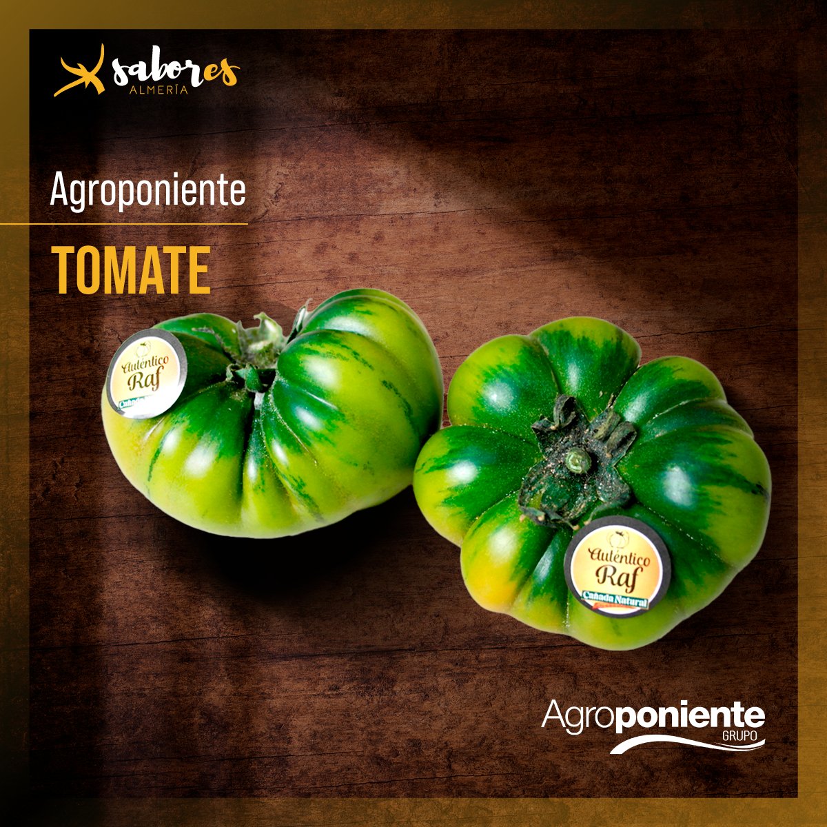saboresalmeria's tweet photo. 👃 😌 Un tomate que huele intensamente sabes que es de calidad. Lleno de vitaminas y sobre todo de sabor, la variedad 𝐑𝐚𝐟 𝐞𝐬 𝐮𝐧 𝐩𝐫𝐨𝐝𝐮𝐜𝐭𝐨 𝐩𝐫𝐞𝐦𝐢𝐮𝐦 muy codiciado en todo el mundo.
🍅 Tomate asurcado Raf de Agroponiente
#SaboresAlmeria #Gourmet #TomateRaf https://t.co/xGsrL7YSf3