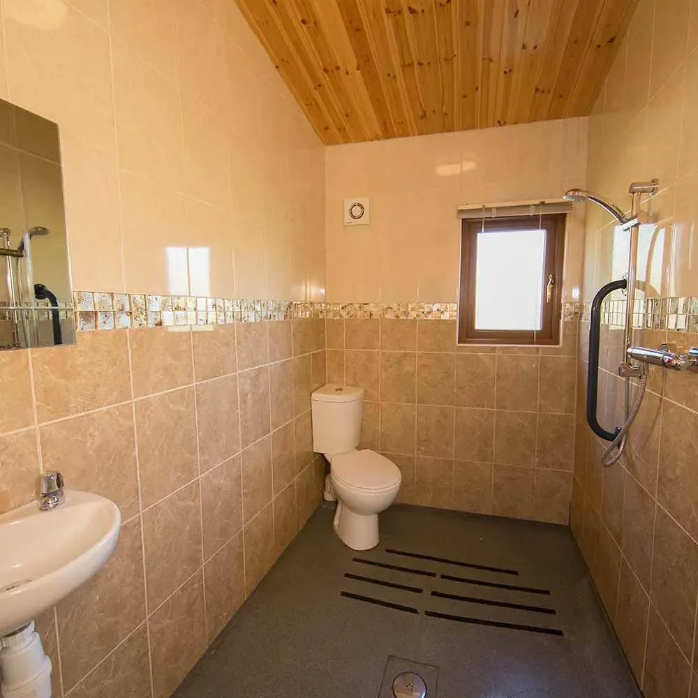 Handiscover tweet media