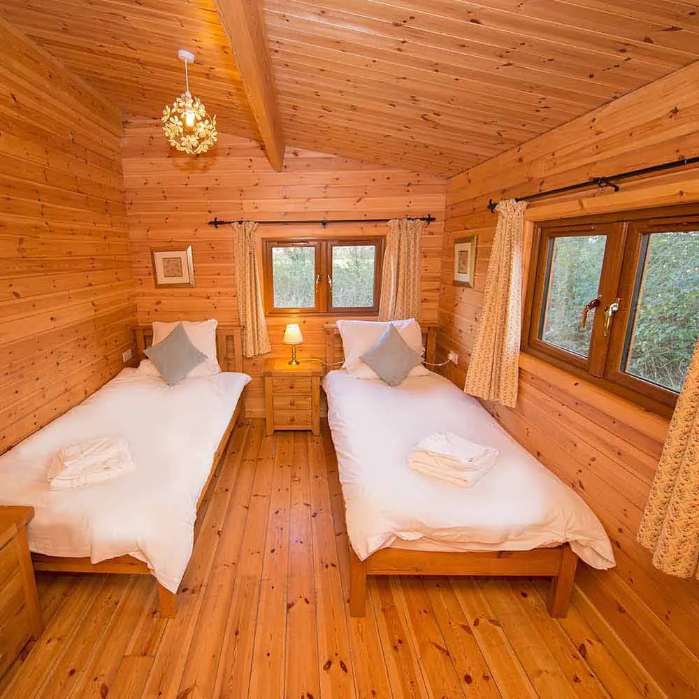 Handiscover tweet media