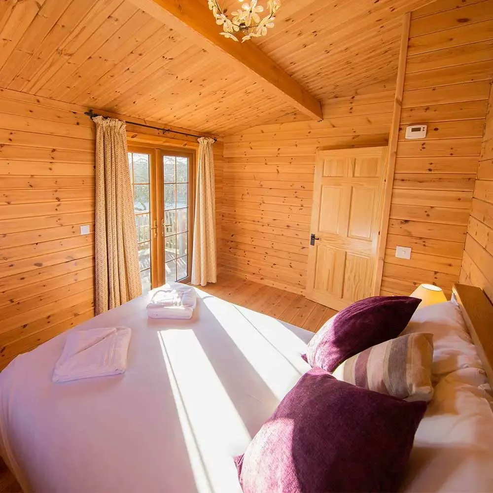 Handiscover tweet media