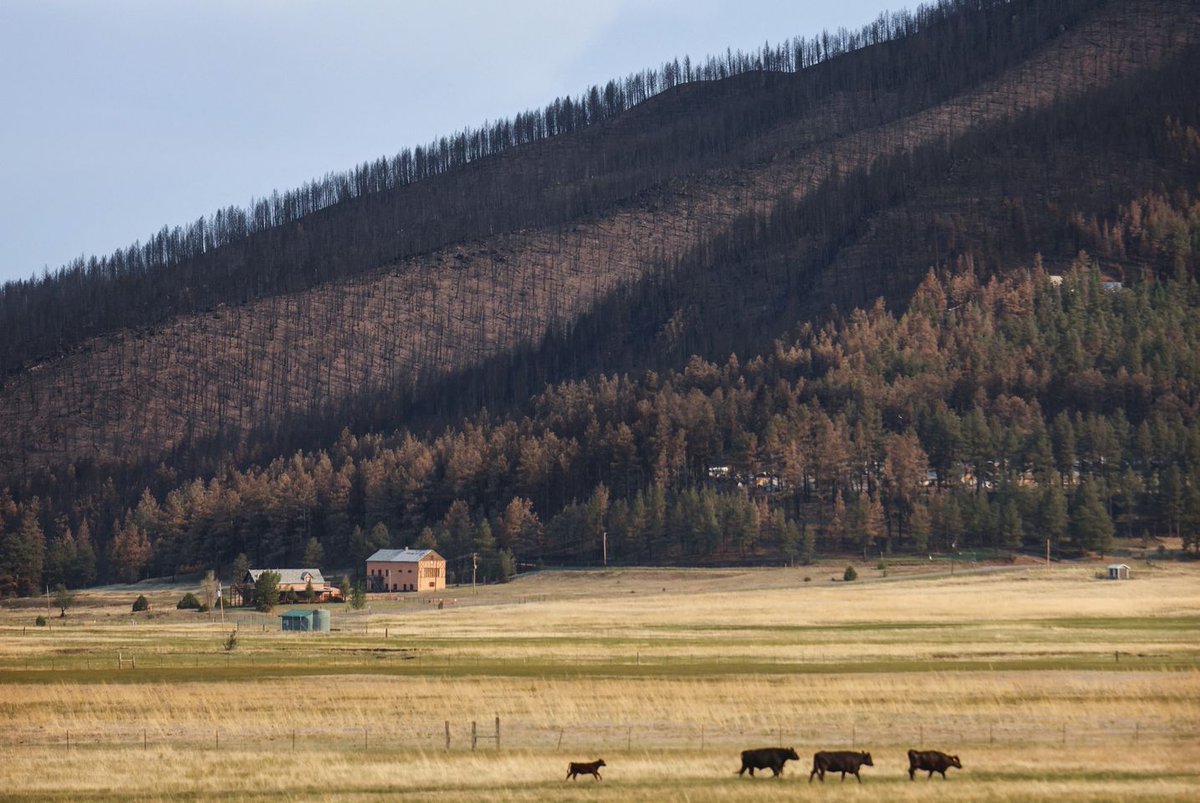 CGTN on Twitter "New Mexico is the secondpoorest state in the U.S