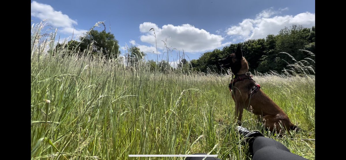 What a weekend!! Learnt lots and met some amazing women! I’ve been an incident commander, had a hot BA wear, been a casualty for search and rescue dogs, heard from some amazing speakers and had a go at some USAR scenarios! Awesome. #WFSUK1 #WFSNTD22