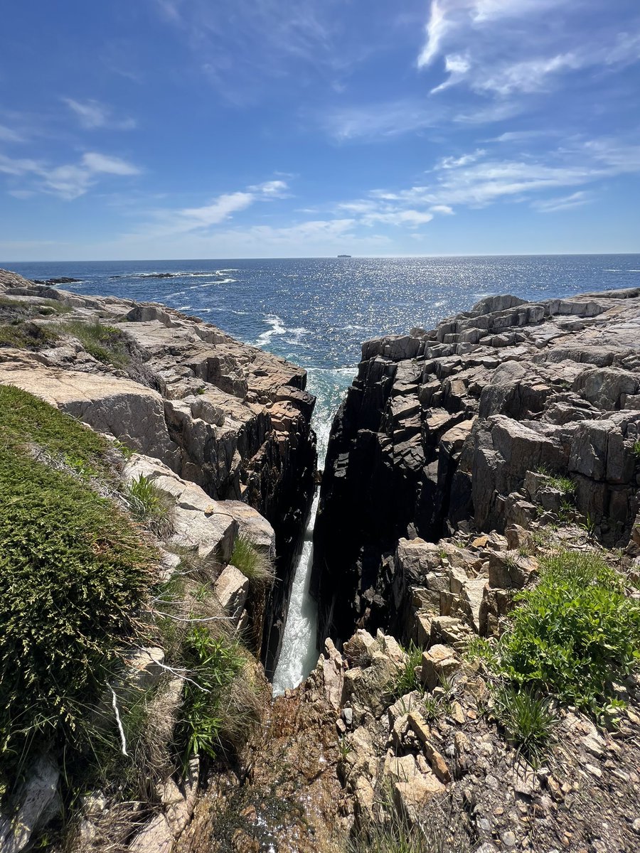 magchampion's tweet photo. Beautiful early day jaunt #DuncansCove  #hiking https://t.co/qnZDLWbiU2