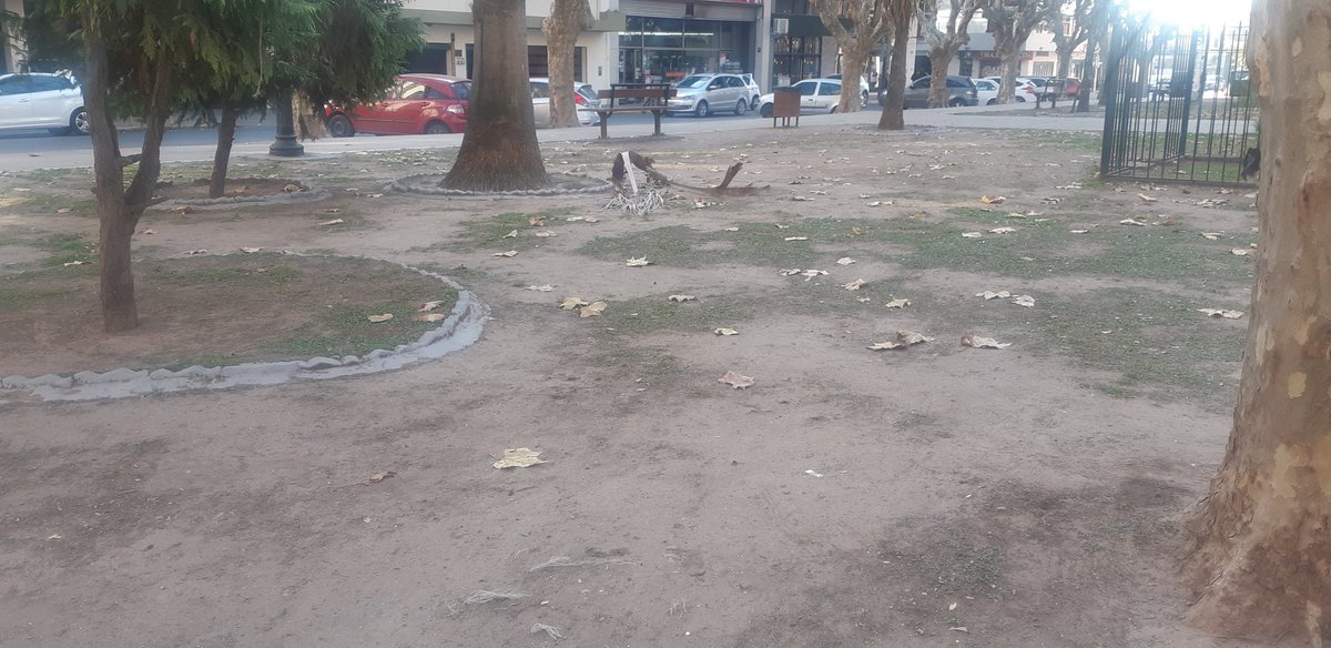 nicoylisto's tweet photo. Desde que #MayraTeRoba gasta millones en cooperativas, las plazas de Quilmes están cada día más lindas 👌🏻✌🏻 https://t.co/xxFcYOp5t0