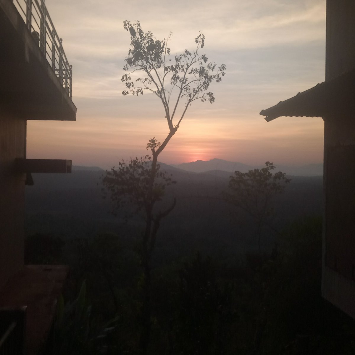 Vibes 💫
Looks like portrait 💫