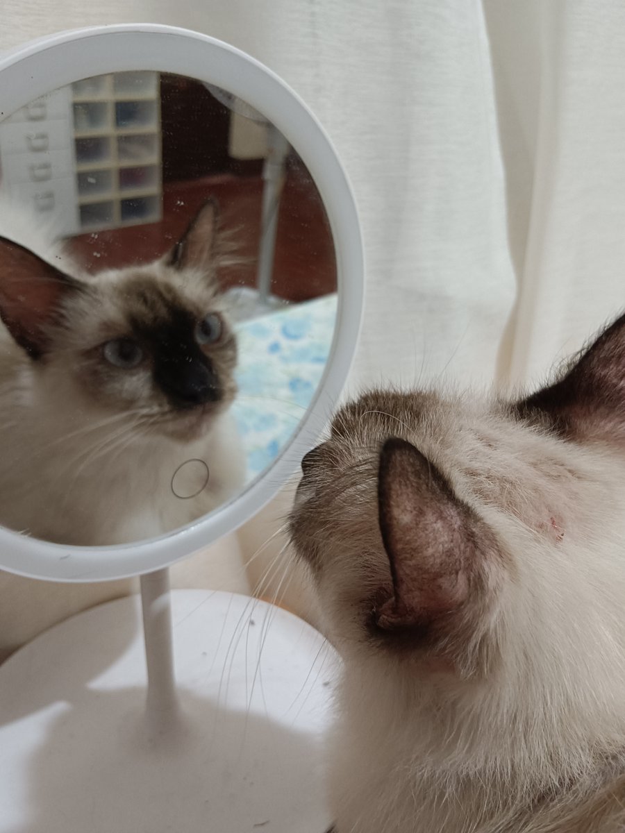 She knows how to appreciate beauty 
#Garlic