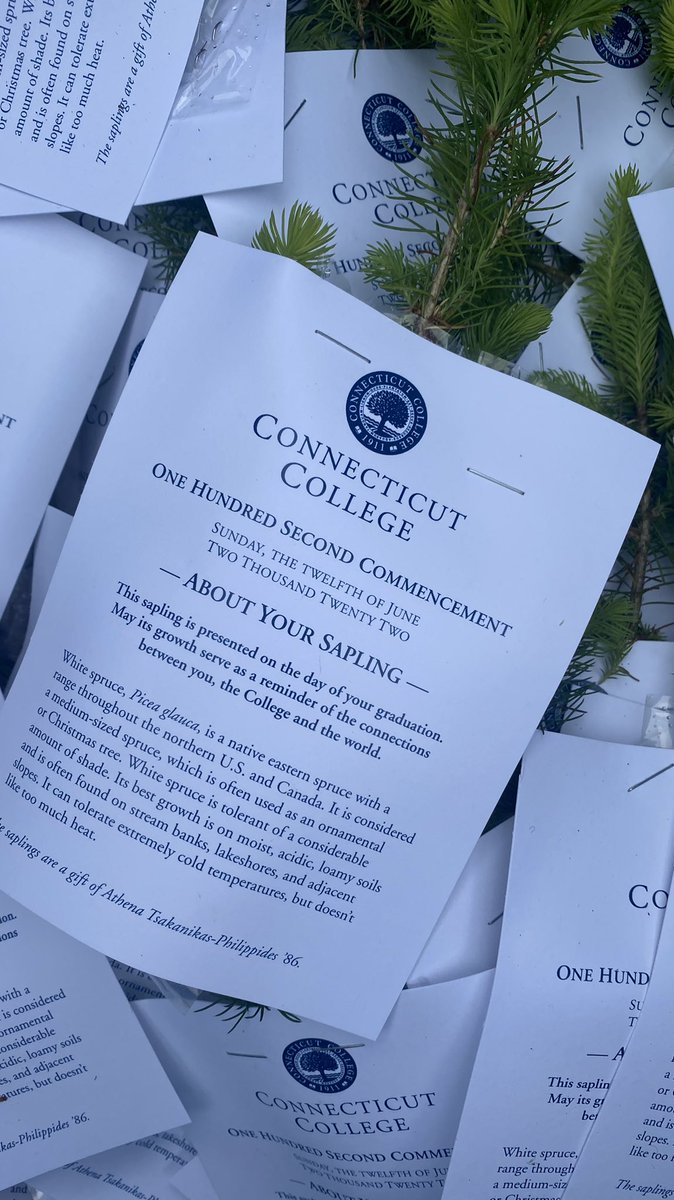 ConnCollege's tweet photo. Let the celebration commence! πͺπ#ConnColl2020 https://t.co/yBZ1i6wehI