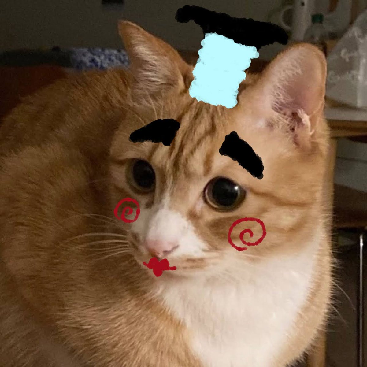 まな巫女 インスタで猫さんイラスト配信中 S Tweet もふもふ らぶち おはようごにゃいます 猫さん豆知識 癒し 猫さんと暮らすと 癒しの愛情ホルモン オキシトシン がたくさん出る 太田教授 にゃ 猫さん側にも出るのです 週の始まり月曜日も頑張れる