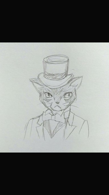画像まとめ 猫の恩返し 8ページ目 アニメレーダー