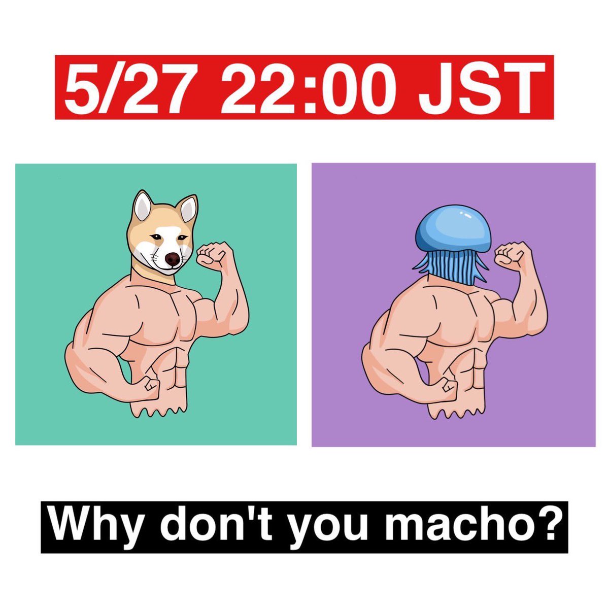 machomuscle_0's tweet photo. 💪 New Very Macho Animals 💪
・Very Macho Shiba Inu
・Very Macho Jellyfish
【Prompt Decision Price】
0.22eth
【Pump Up Version】
Protein 3pcs + 0.15eth
Protein 5 pieces + 0.08eth
⚠️DM me when you want to use protein. https://t.co/E7aH0US3b3