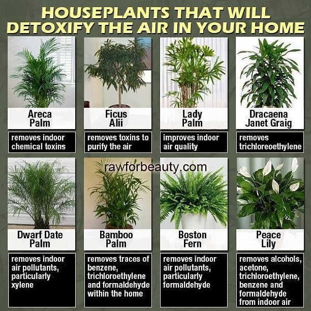 thehealthb0t's tweet photo. https://t.co/p4UvGc2KFN