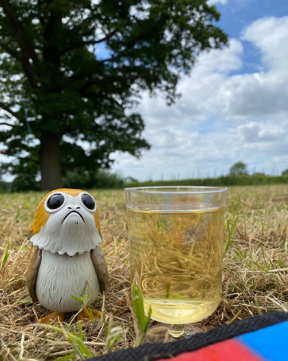 PabloThePorg's tweet photo. I’ve joined hooooman at a vineyard! Lots of giggle water! #Porg #BlabersHallWineEstate #Vineyard #Wine #Fillongly #Travel #StaySafe #StarWars #TheRiseOfSkywalker #TheLastJedi #PabloThePorg https://t.co/fzxnXlded9