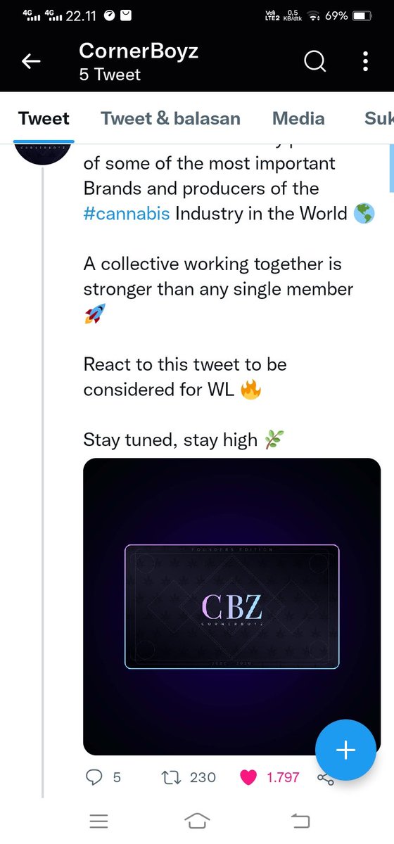 Cica ✨ tweet media