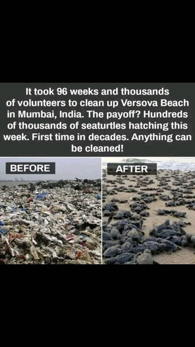 PiksteinLab_GCU's tweet photo. Don't lose hope in #individualActions
#sustainableFuture #plasticpollution
#India #beachvibes #sustainability https://t.co/grEQXe29e2