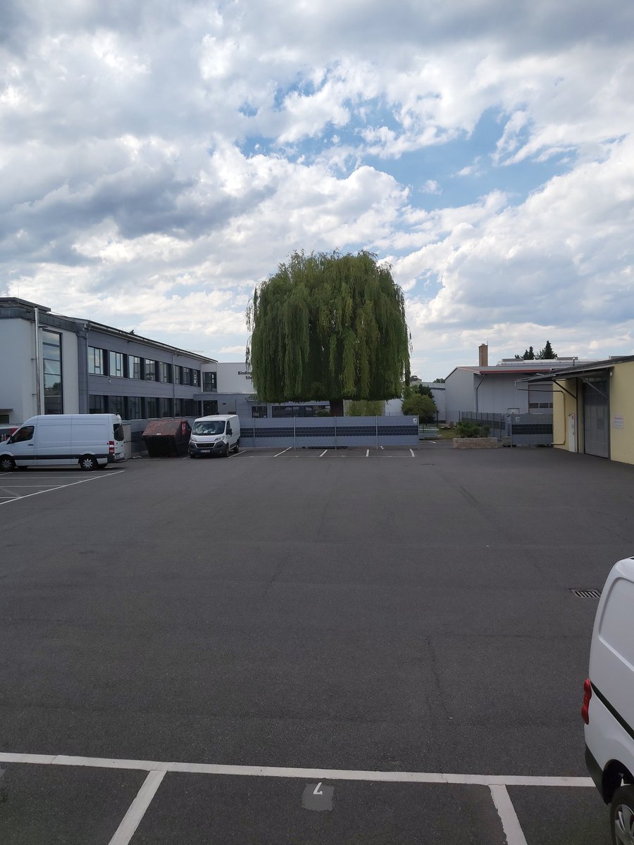 Ich: "Schau, sieht aus als wäre der Baum beim Friseur gewesen."
Mein pakistanischer Kumpel lachend: "Ja stimmt, sieht aus wie eine Susi."