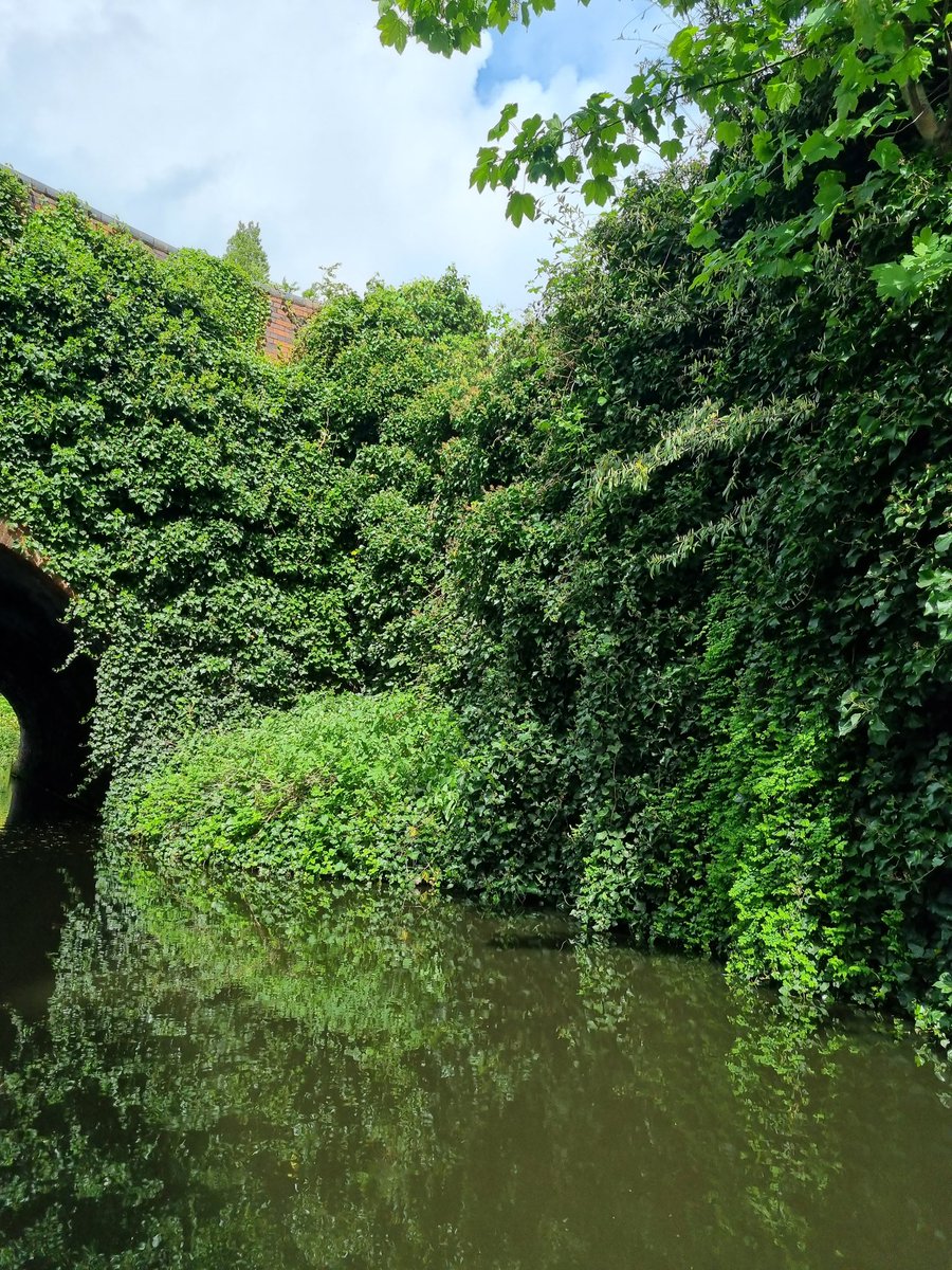 Birmingham, stop being so awful ❤️
#godawfulbirmingham