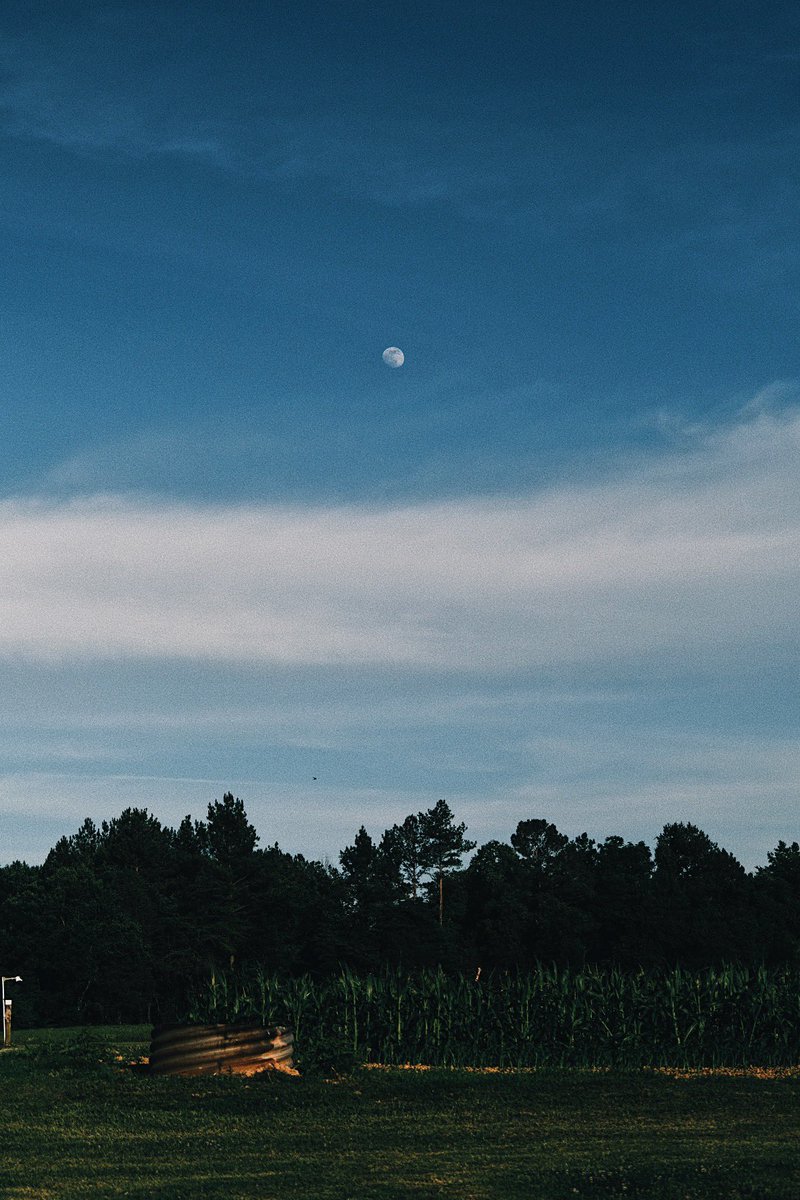 aurelia_hour's tweet photo. Moony #fujifilmxt4 #photographylovers https://t.co/h9LMoEpKr7