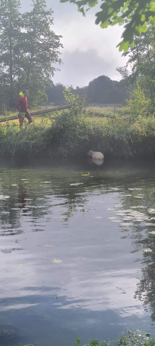 sdis27's tweet photo. Chaque jour les #sapeurspompiers du colonel HC Ducouret sauvent des vies … Aujourd’hui les #sauveteursAquatiques ont aussi sauvé un #veau tombé dans la #Risle 

#chaquevieCompte pour les @PompiersFR #soldatsdelavie 
#bienetreAnimal https://t.co/JLMdx0sqo8