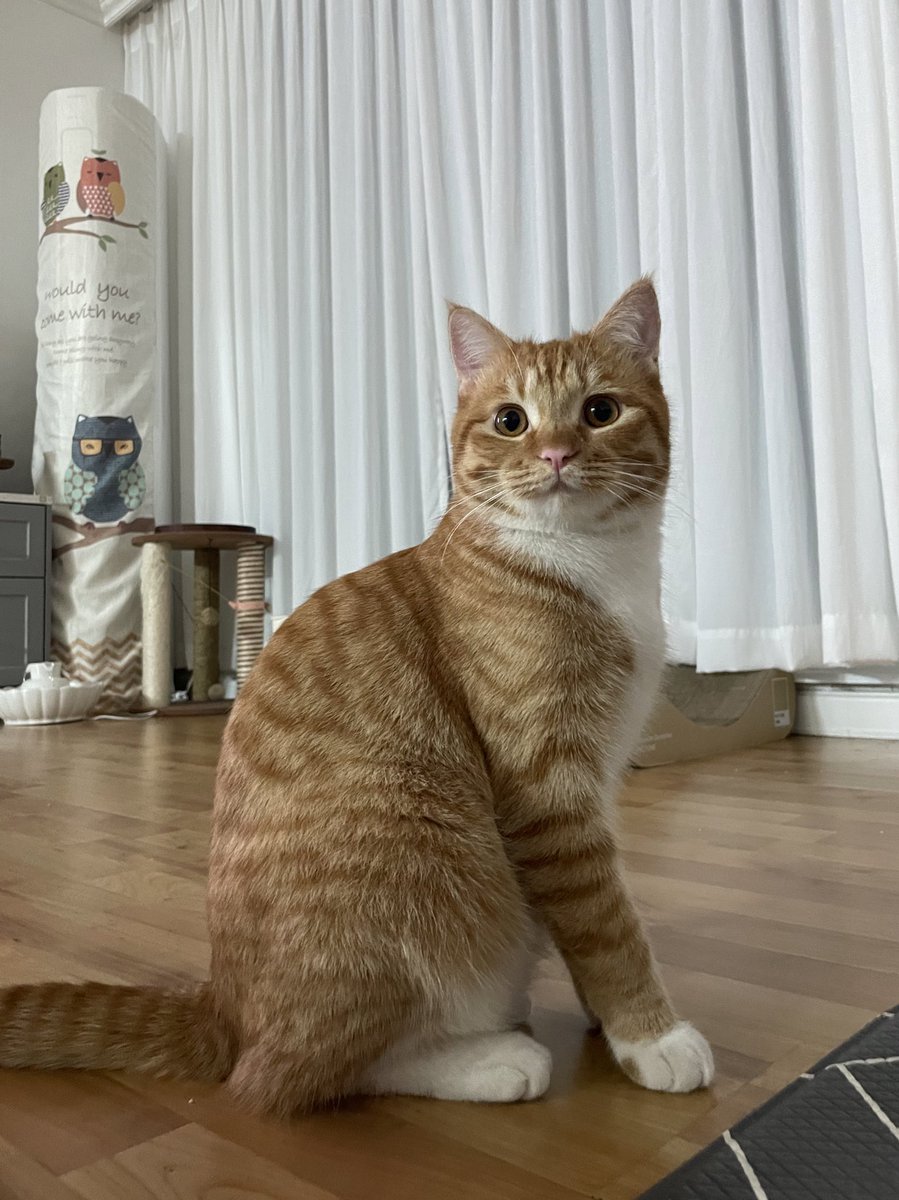 dongggeul's tweet photo. 너무 기요워 😍 https://t.co/2mkASHjojW