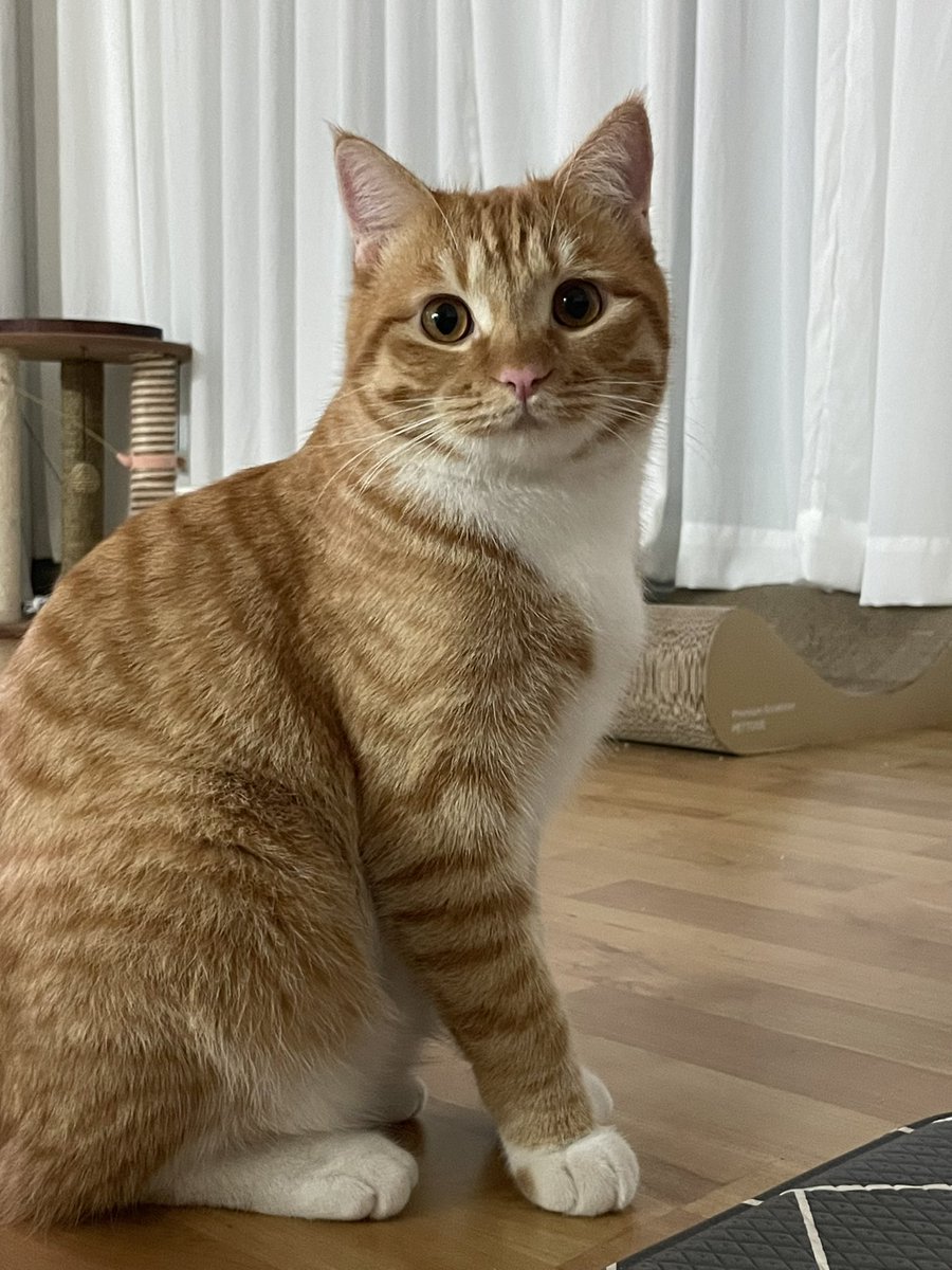 너무 기요워 😍