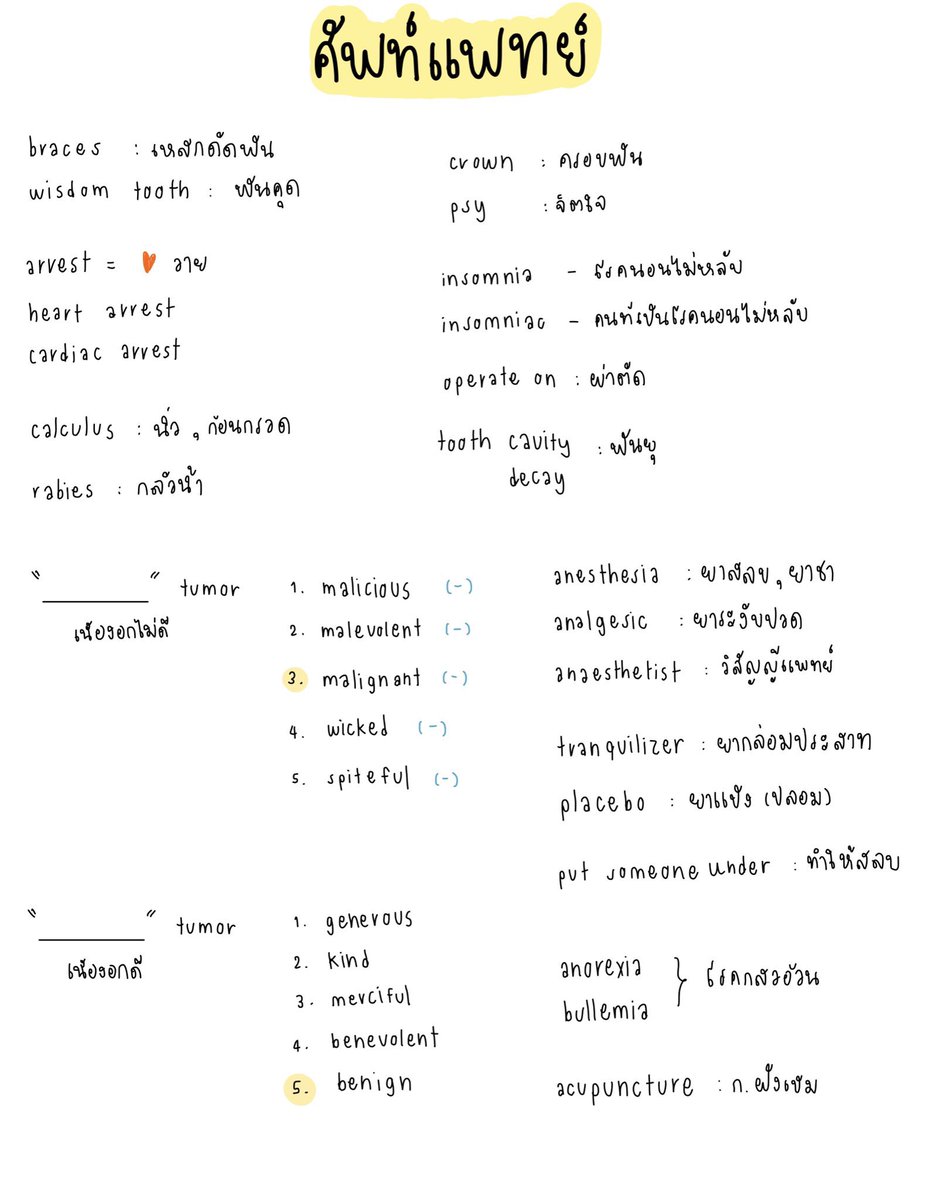 bookbokbokhong's tweet photo. มีใครสนใจไฟล์จดพี่แน้ตมั้ยคั้บ english p’nat เราจดเอง มีทั้งidiom,vocab,grammar,collocation, do/make ต่างๆ จดครบสวย🤍 มี100หน้า++ ราคาเพียง 150฿ 🤩ใครสนใจdmมาได้เลยน้า #IELTS #ไฟล์ศัพท์พี่แน้ต #ไฟล์ศัพท์ #ส่งต่อหนังสือเตรียมสอบมือสอง #พี่แน้ต #englishpnat https://t.co/MxnTeMqNDK