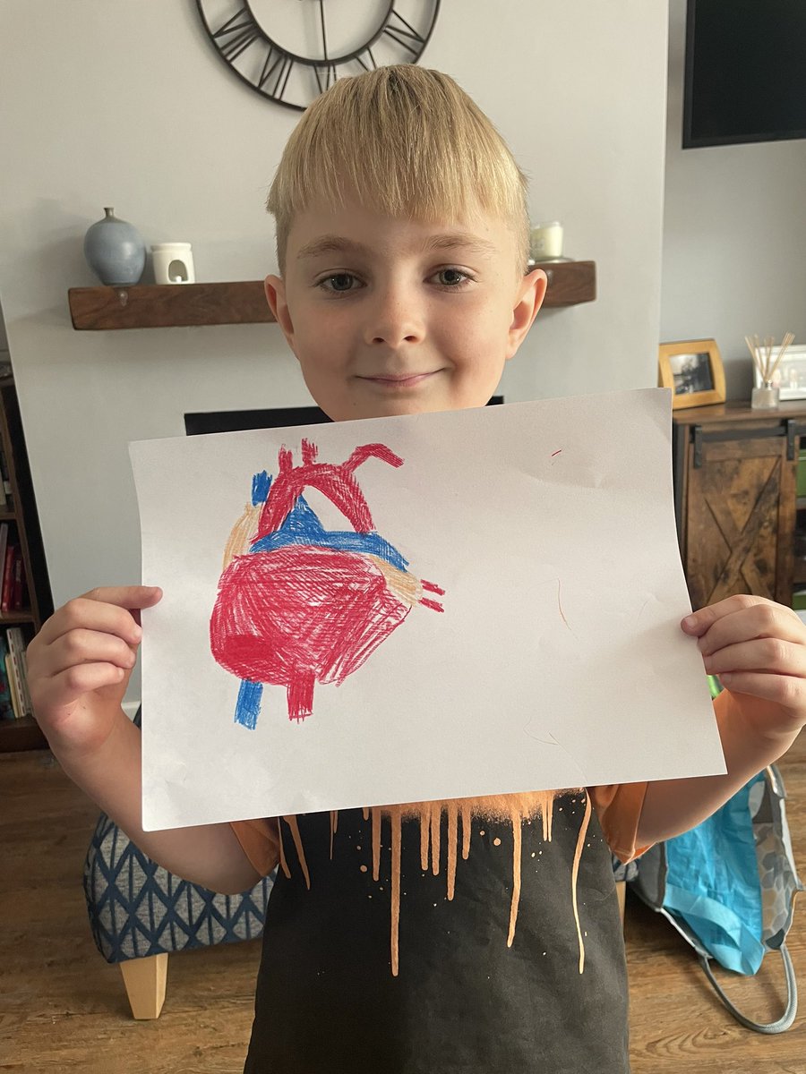 NiaWade11's tweet photo. Working very hard on his heart diagram this morning! @Ysgol_y_Castell #nantgwyddon #calonlan https://t.co/nUFiKEC2sK
